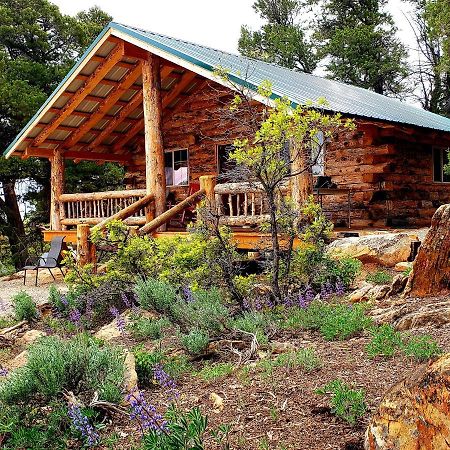 Abajo Haven Guest Cabins Hotel Бландинг Екстериор снимка