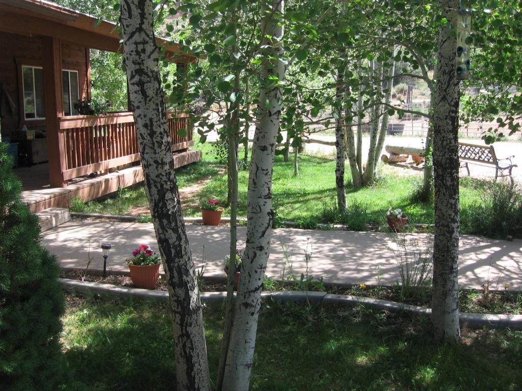 Abajo Haven Guest Cabins Hotel Бландинг Екстериор снимка