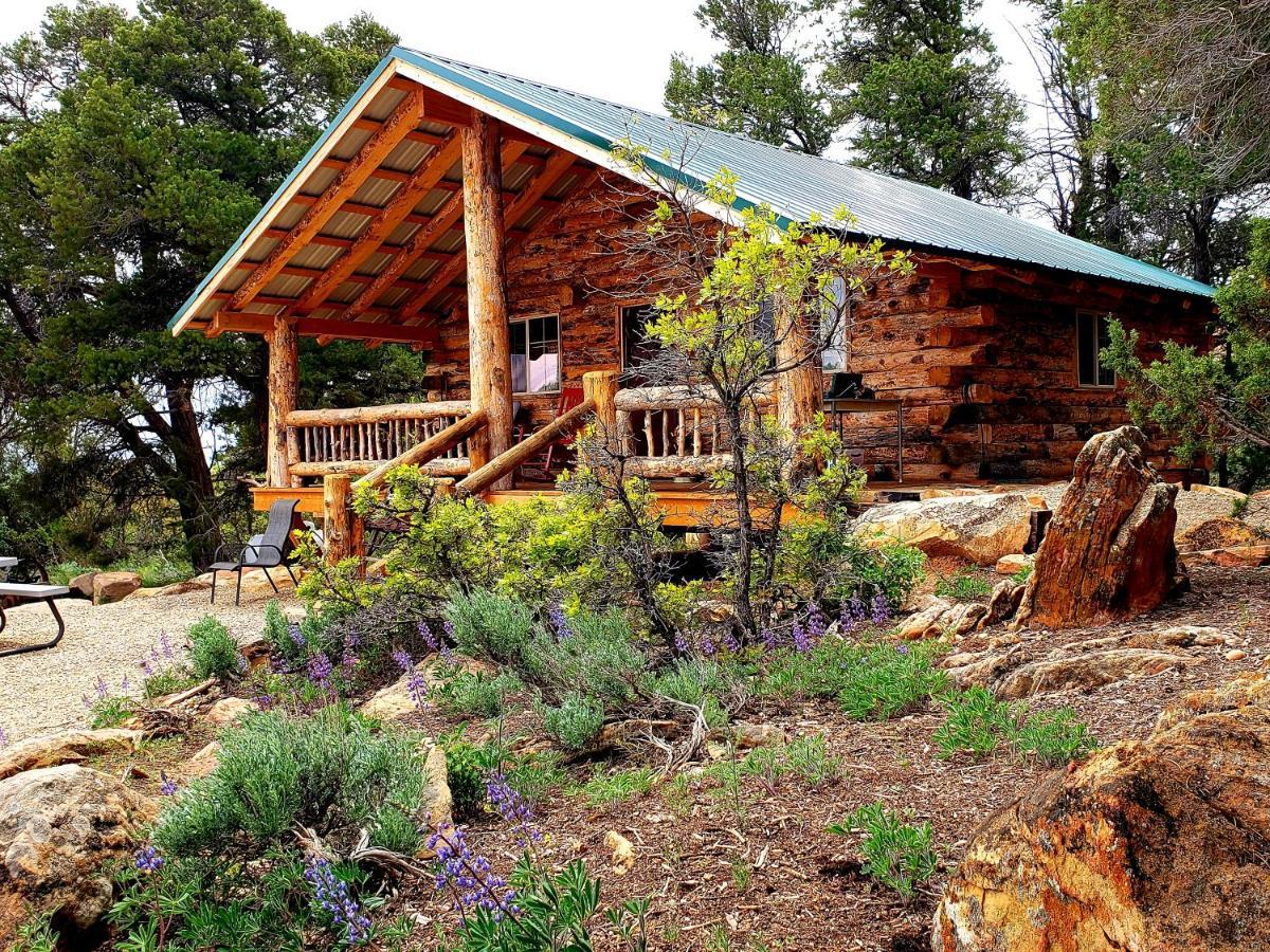 Abajo Haven Guest Cabins Hotel Бландинг Екстериор снимка
